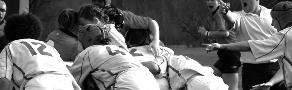 想买在线轰炸机网页版